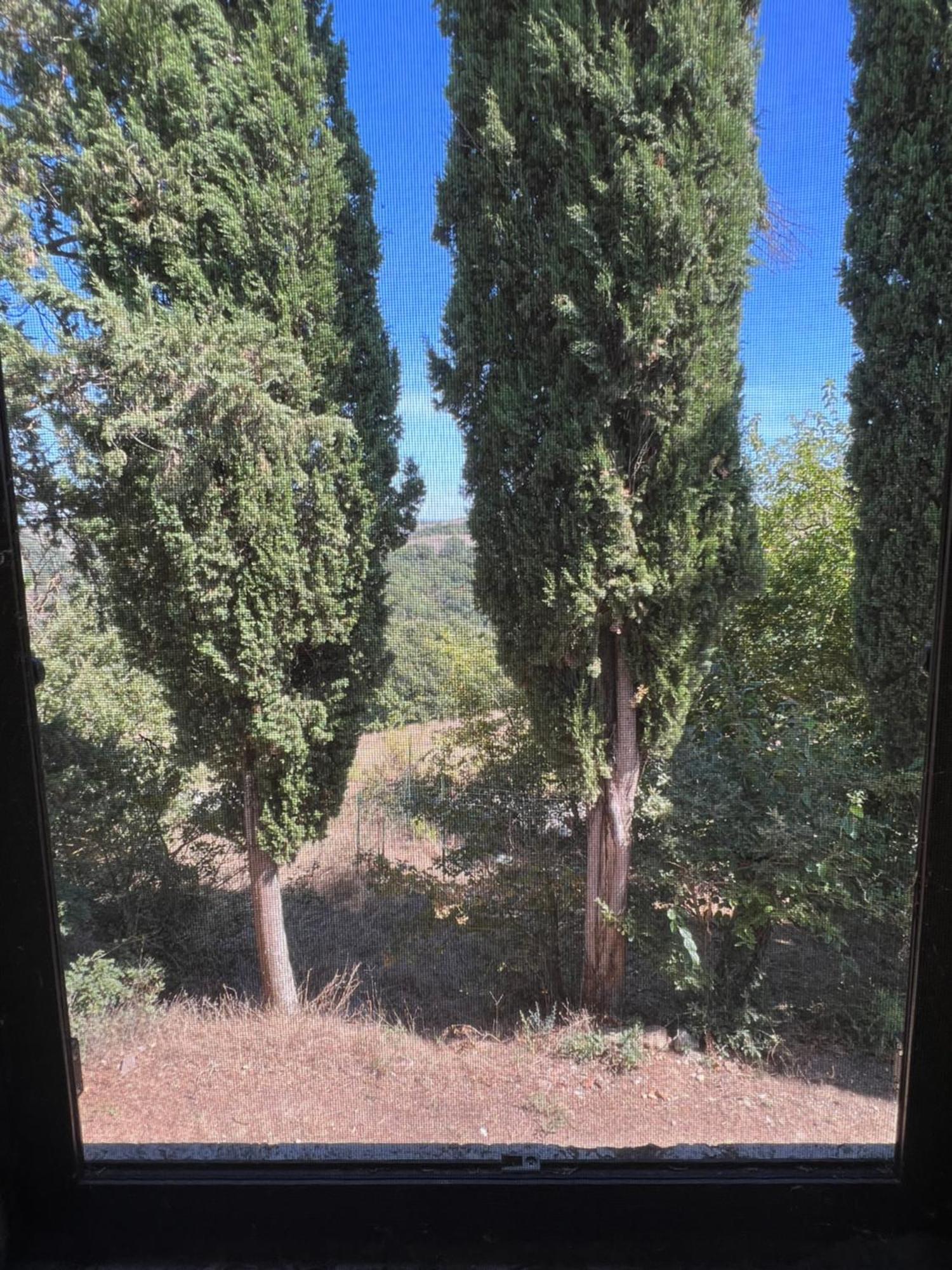 Agriturismo Diffuso Monte Oliveto Maggiore Chiusure Luaran gambar
